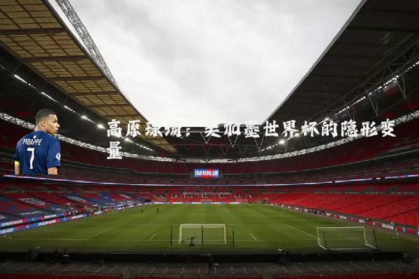 高原球场：美加墨世界杯的隐形变量