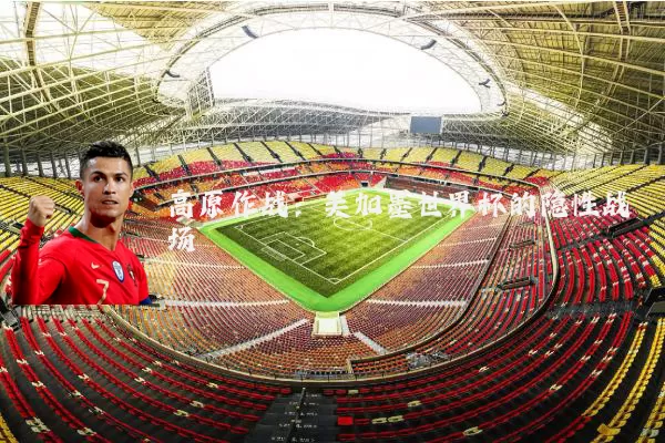 高原作战：美加墨世界杯的隐性战场
